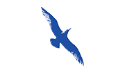 Cape Air